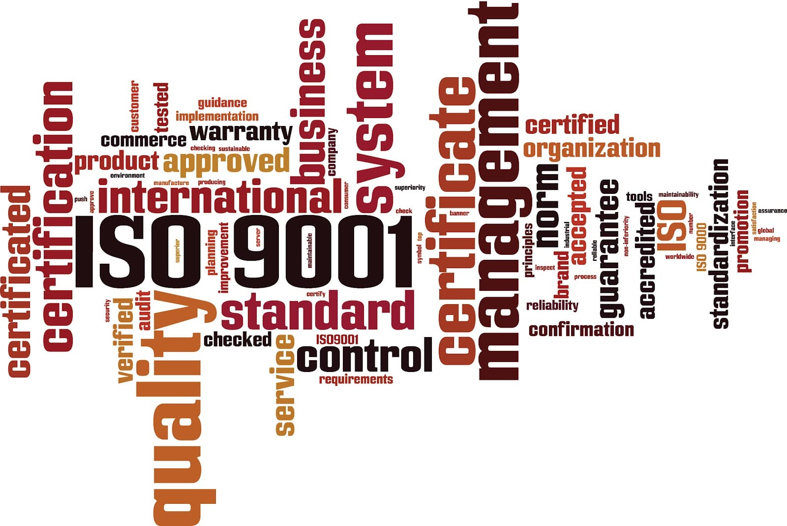 Candy Management Consultants team advising client on ISO management systems